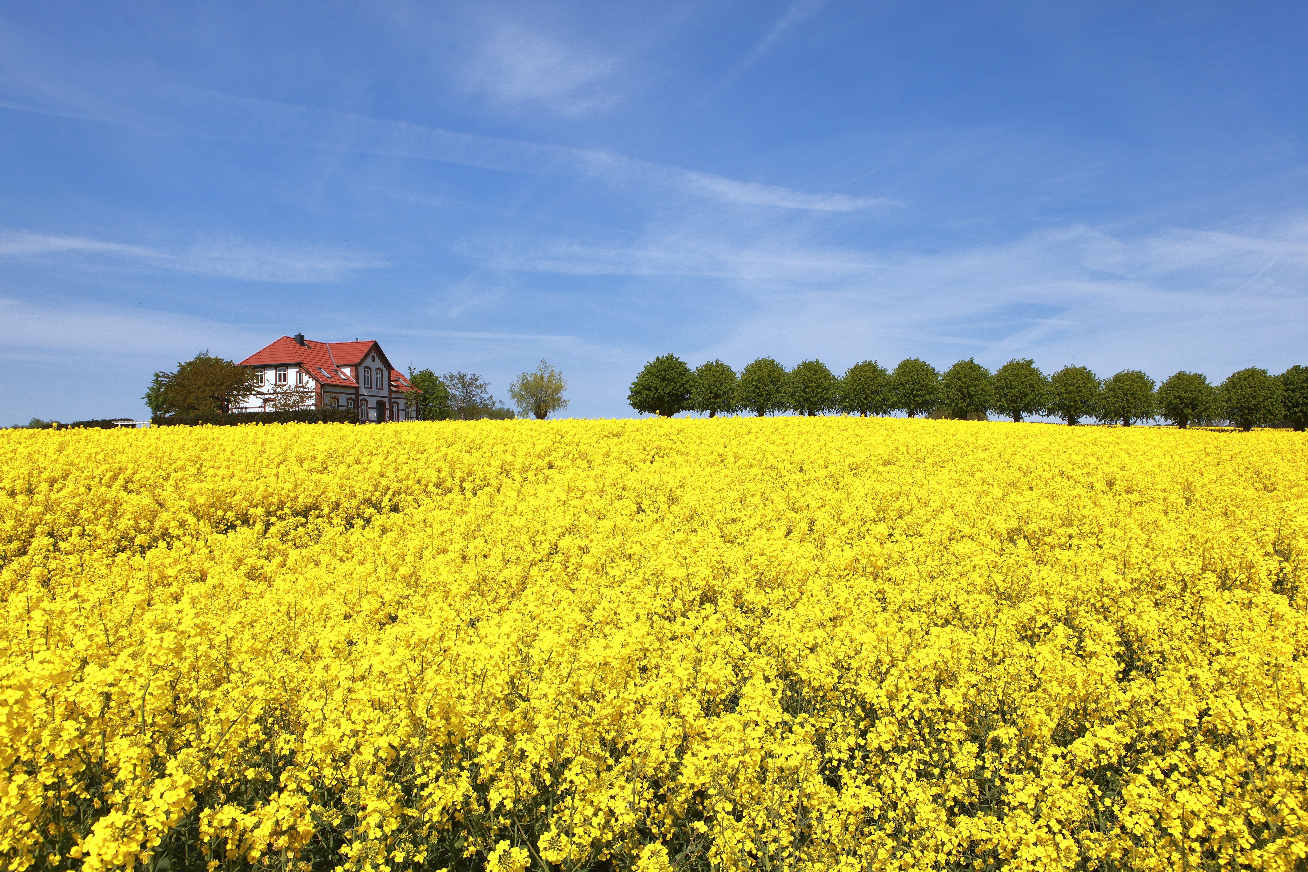 Poel_scenic gold fields Markus Frick